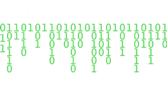    I'm a programmer - Moda Print