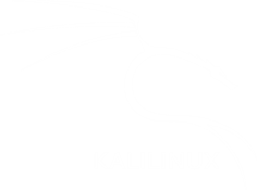    Kalilinux - Moda Print